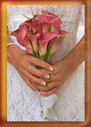 tent packages